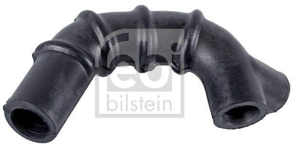 Hose, crankcase ventilation